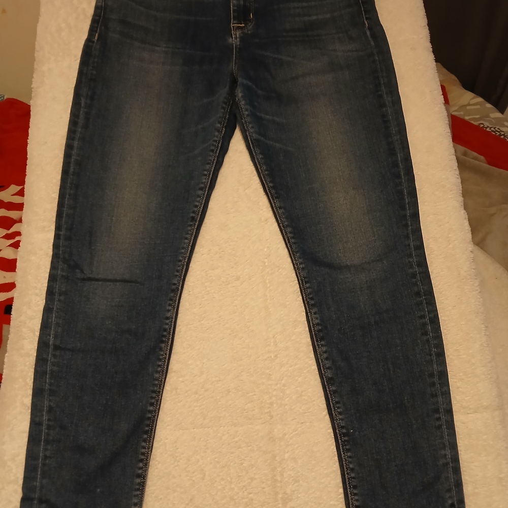 Hudson Jeans Dark Blue Skinny Jeans